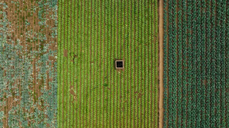 2025夏季女装流行趋势：千娱音轻盈面料连衣裙系列解析