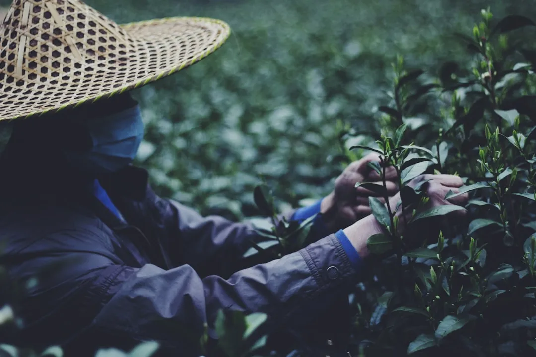 重庆夏季女装流行趋势：轻盈面料与时尚款式应用